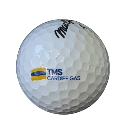 VIP 12 Golf Ball Pack Custom Logo